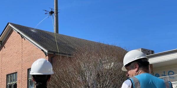 Roof Cleaning 101